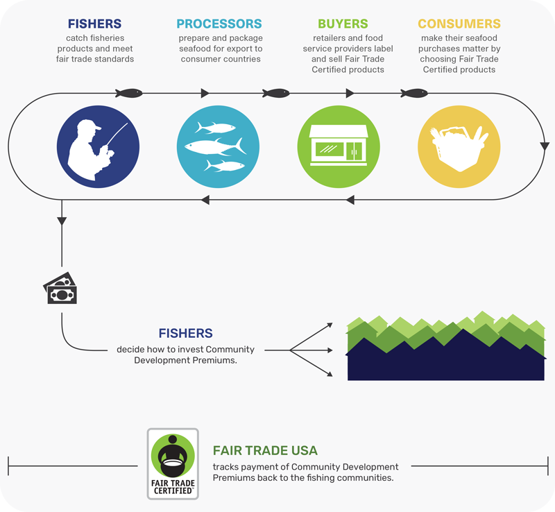 fisheries flow of goods