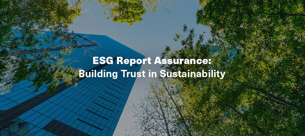 esg report assurance